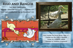 Photo of Rilo and Ranger from Majestic Waterfowl Sanctuary real and as characters