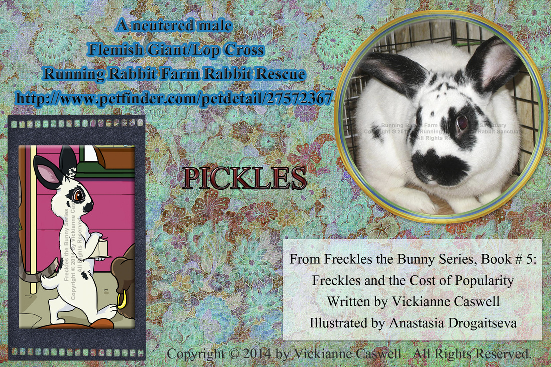 Photo of Pickles from Running Rabbit Farm Rabbit Rescue Sanctuary real and a character
